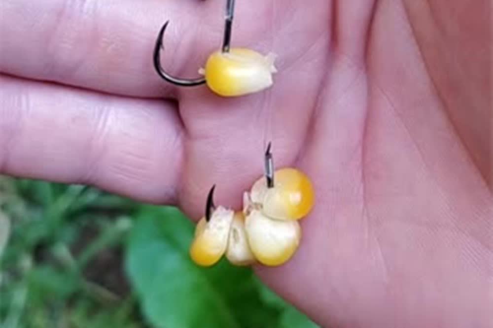 后有较为充 后有较为充